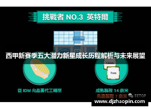 西甲新赛季五大潜力新星成长历程解析与未来展望